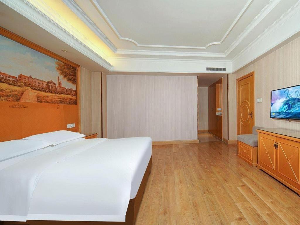 Vienna International Hotel Lhasa Potala Palace Esterno foto